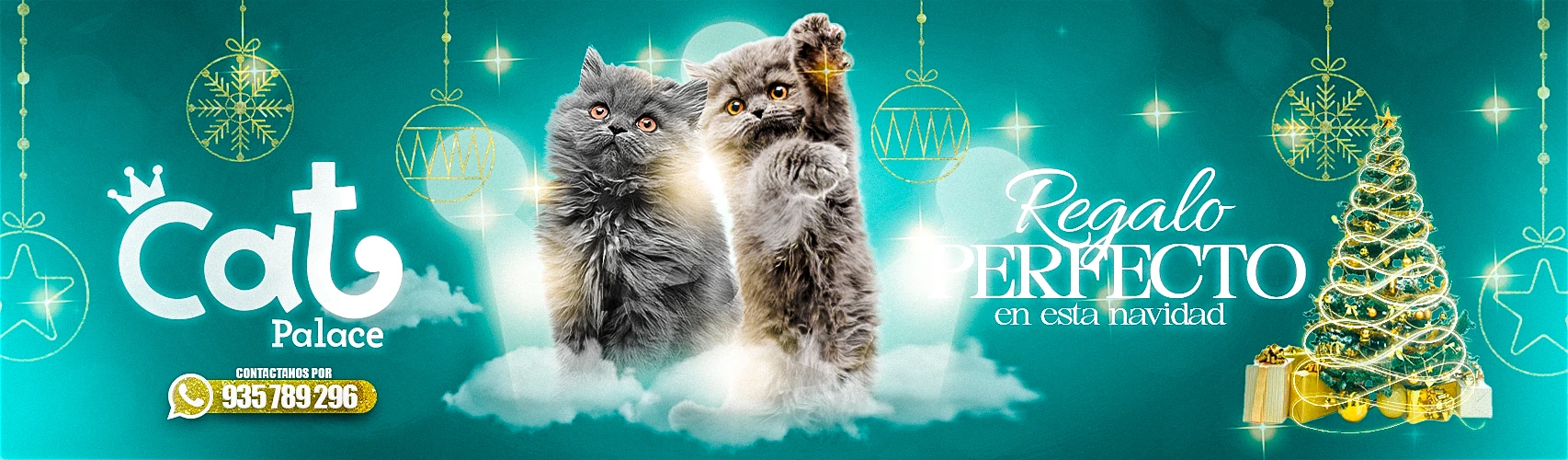 portada Cat navidad 2